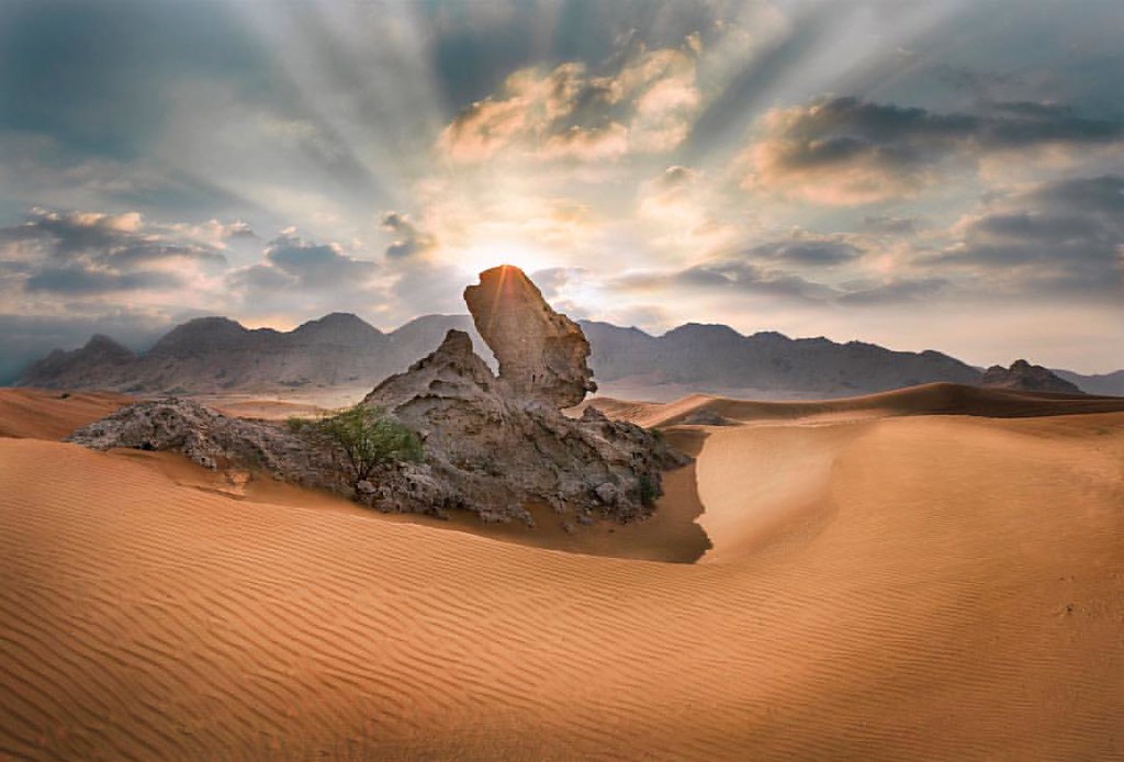 Camel Rock entre las dunas del desierto de Mleiha, Sharjah